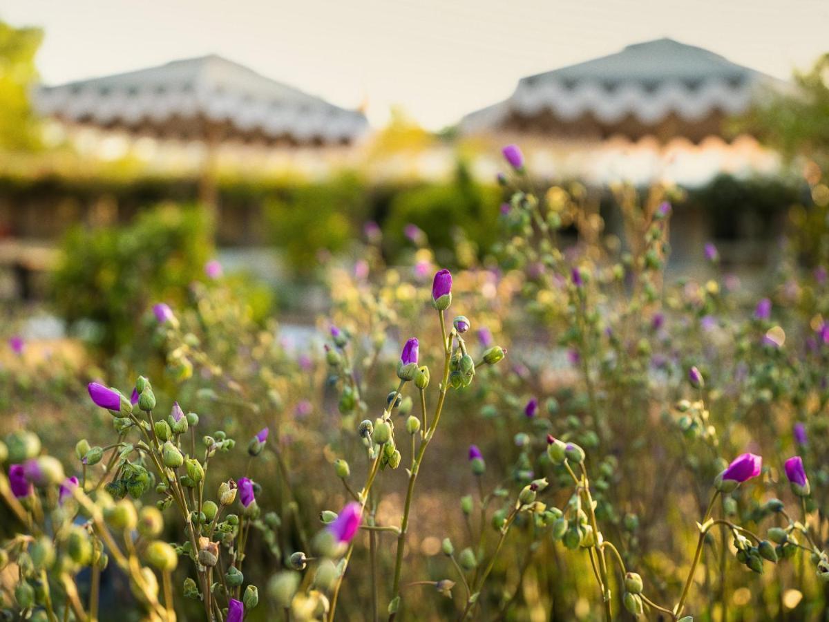 Hotel Ynez سولفانغ المظهر الخارجي الصورة